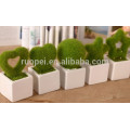 Hot decorative love mini artificial plant bonsai wholesale